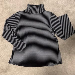 J.Jill Luxe Supima Turtleneck